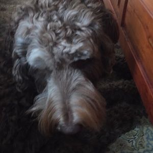 Meet your Posher, Kristin